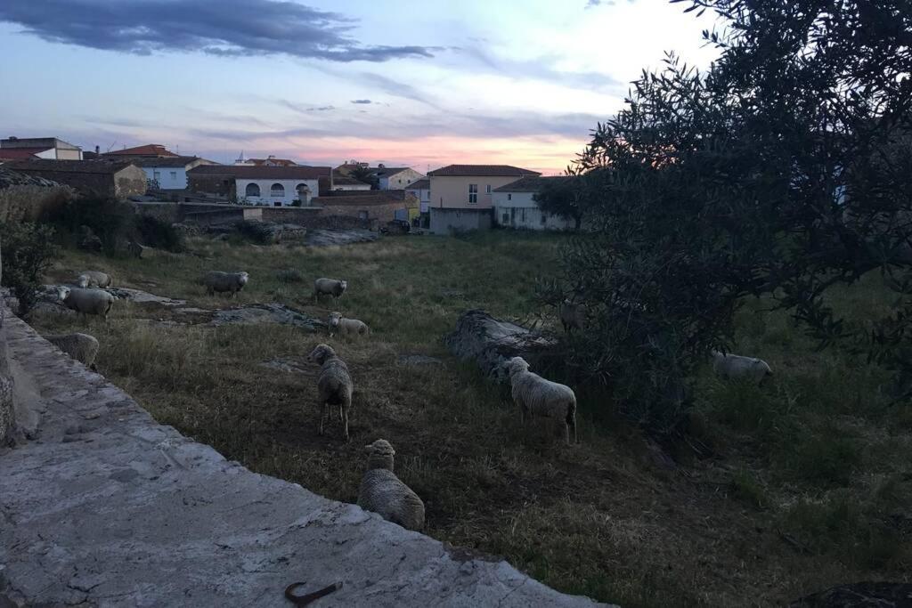 Casa - Apartamento Rural La Tahona Del Abuelo Plasenzuela Zewnętrze zdjęcie