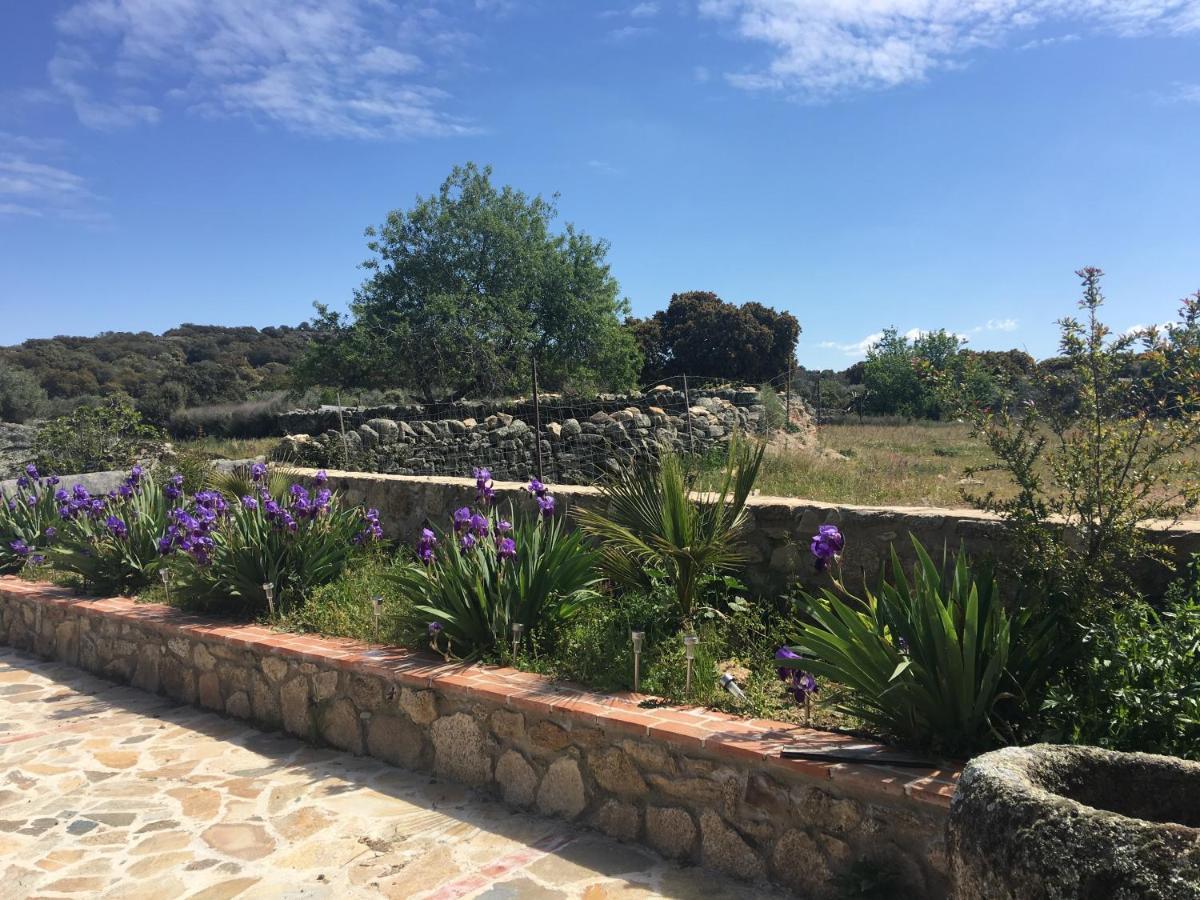Casa - Apartamento Rural La Tahona Del Abuelo Plasenzuela Zewnętrze zdjęcie