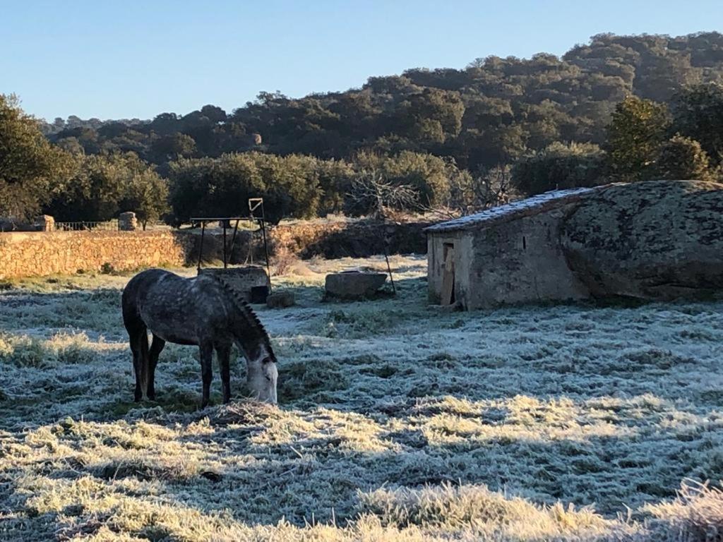 Casa - Apartamento Rural La Tahona Del Abuelo Plasenzuela Zewnętrze zdjęcie