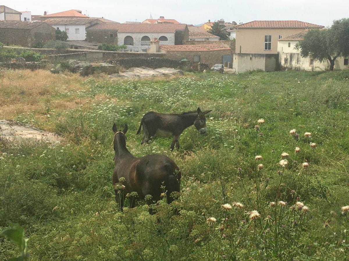 Casa - Apartamento Rural La Tahona Del Abuelo Plasenzuela Zewnętrze zdjęcie